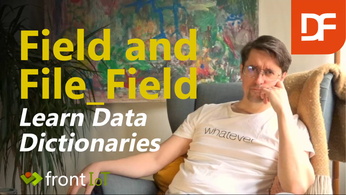 Field And File_Field Values in Data Dictionaries