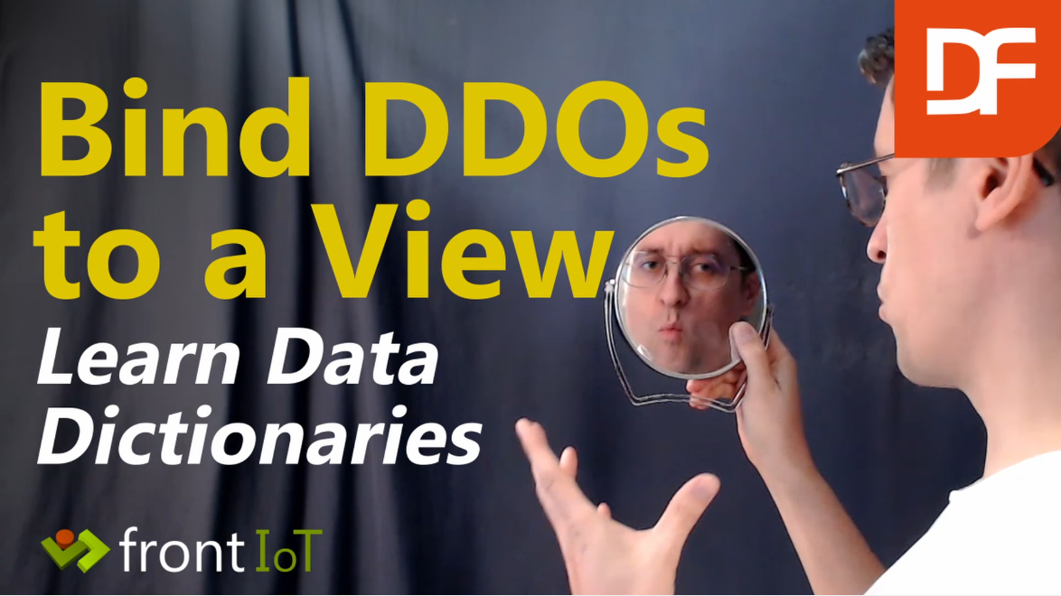Bind DDO's to a View - Data Dictionaries